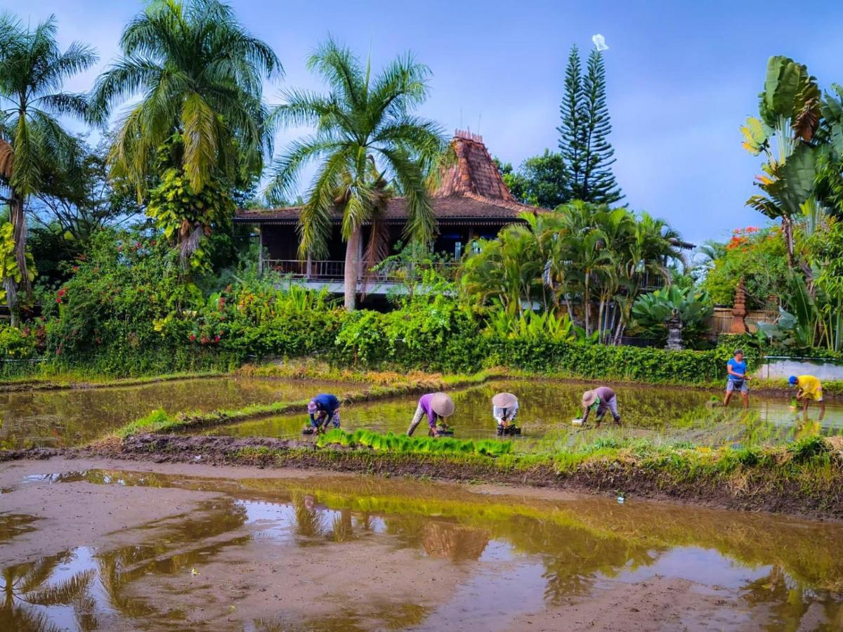 Ayu Dira Heritage House Убуд Экстерьер фото