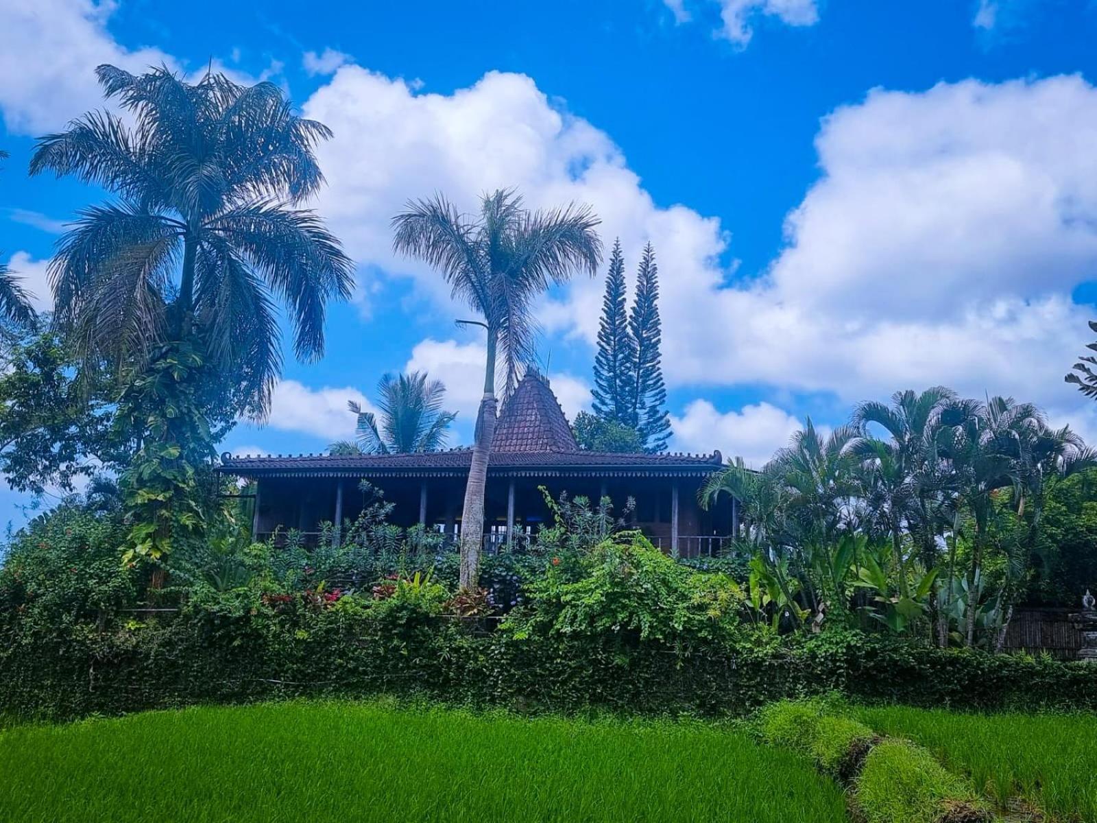 Ayu Dira Heritage House Убуд Экстерьер фото